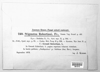 Coleroa robertiani image